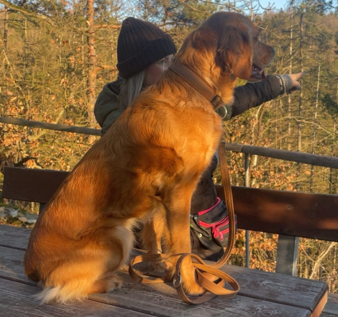 Verantwortungsvolle Golden Retriever Zucht im DRC e.V. Golden Retriever Hündin Luna vom Grassteich aufmerksam im Wald mit der Züchterin.