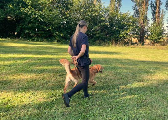 gemeinsames-training-unterordnung-luna